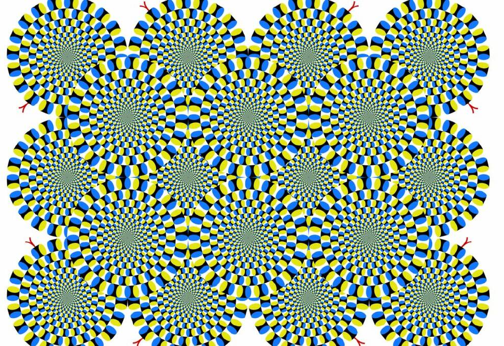 DO THE COILS MOVE?: One of the visual illusions.
