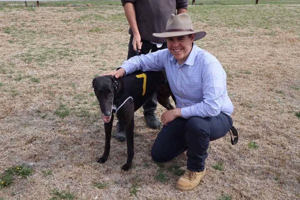 DOG-GONE-IT: Shooters, Fishers and Farmers Party candidate Rayne Single at Armidale Greyhound track.