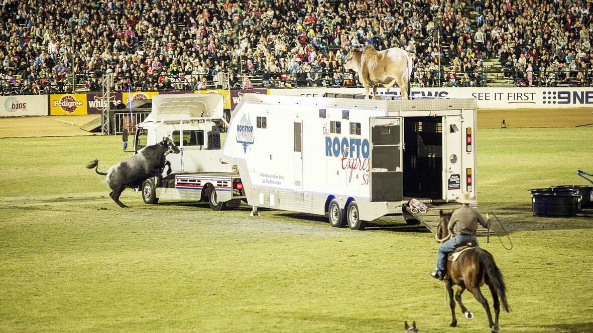 STEER BRAVADO: The Rooftop Express Wild West Extravaganza promises to have world-class stunts.