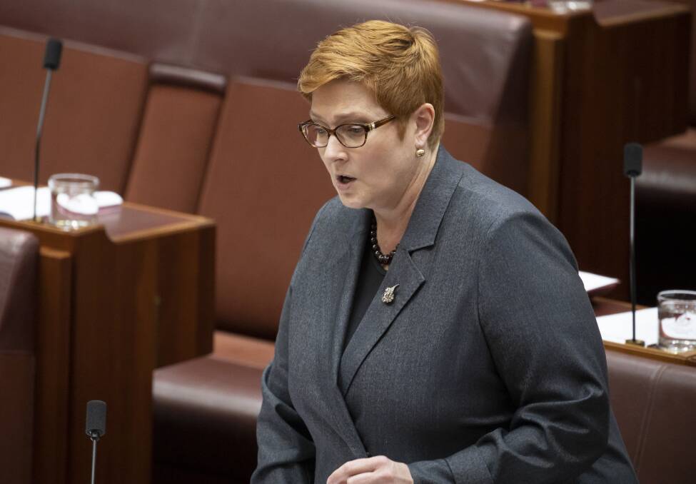Foreign Minister Marise Payne. Picture: Sitthixay Ditthavong 