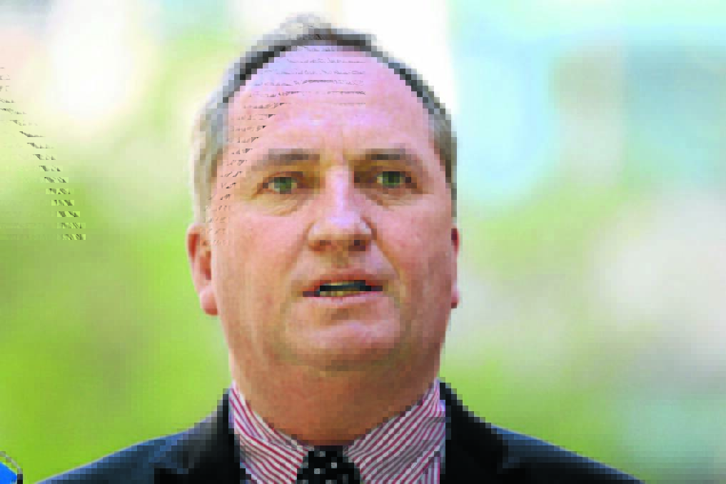 Acting Prime Minister and Member for New England Barnaby Joyce 