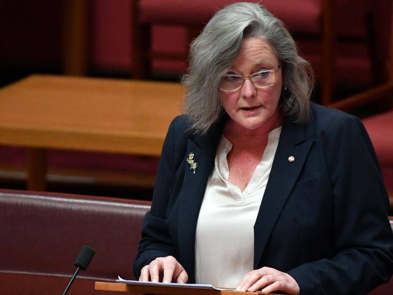 Labor Senator Karen Grogan says she has lived some of the challenges facing vulnerable people.