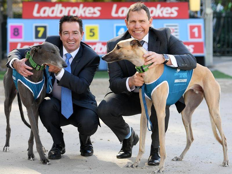 The NSW government will put up $500,000 to help fund a landmark race for the greyhound industry.