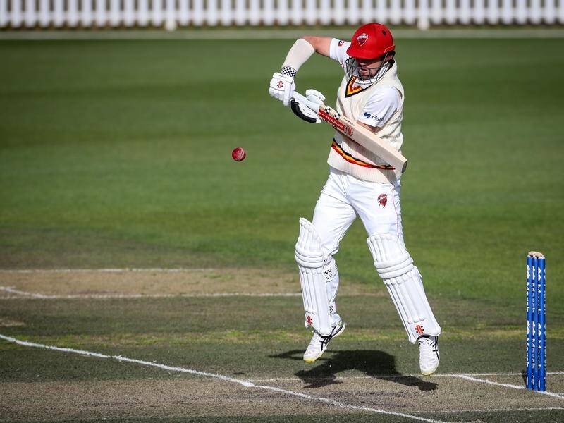 SA's Travis Head is pushing his claims for a Test recall against WA in the Sheffield Shield.