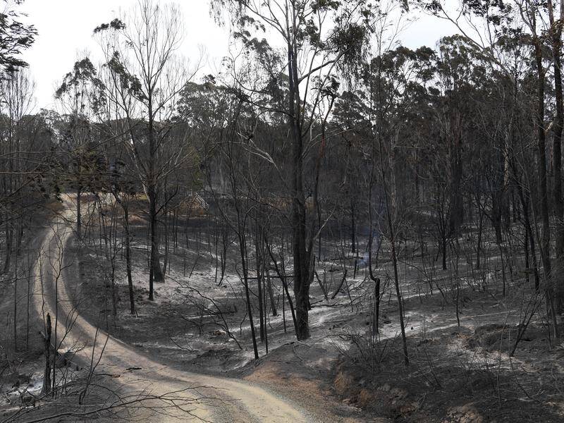 A Victorian couple have described their difficulty in securing government bushfire relief payments.