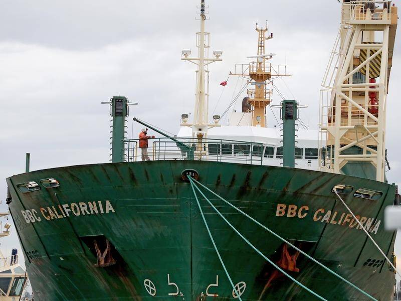 Ten crew of the BBC California have tested positive to COVID-19 since the cargo ship docked in WA.