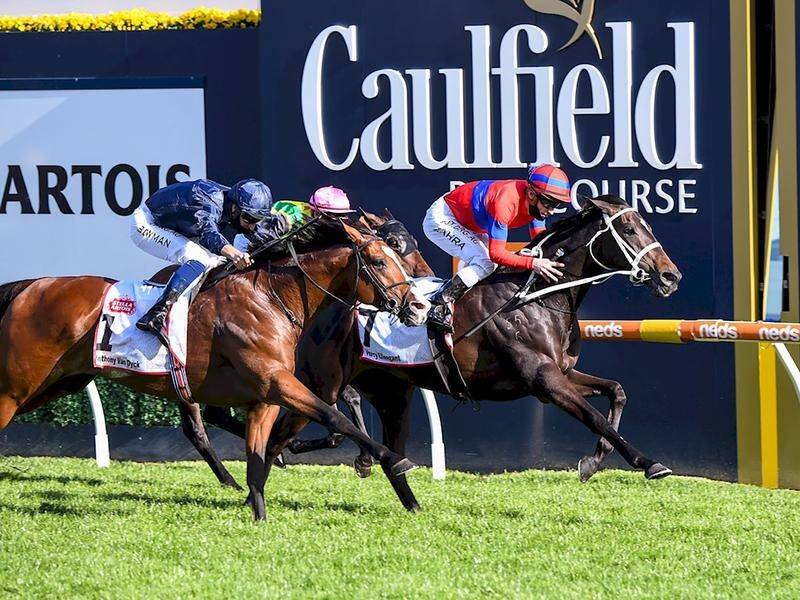 Caulfield Cup quinella pair Verry Elleegant (r) and Anthony Van Dyck clash in the Melbourne Cup.