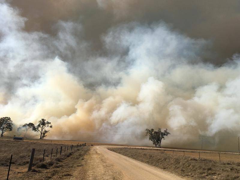 A firefighter has been critically injured and homes have been lost or damaged by fires in north NSW.