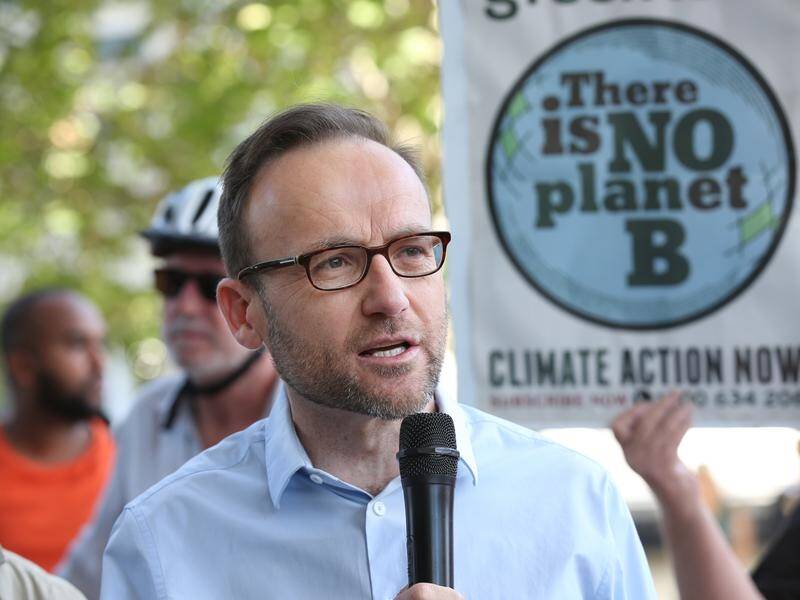 Greens MP Adam Bandt has defended Jordon Steele-John's spray over climate change.