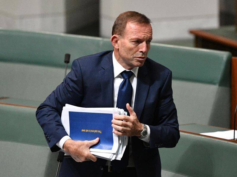 Former prime minister Tony Abbott says Liberal MPs could cross the floor on energy policy.