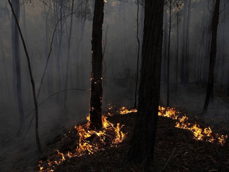 The NSW government is investing $28 million into new technology to help prepare for bushfires.