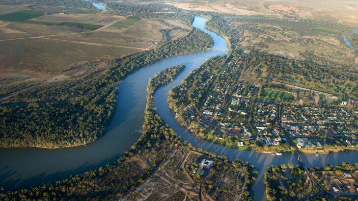 The Age
News
26/01/2012
photo Justin McManus.
On the Murray
Junction of the Murray and Darling Rivers at Wentworth.
Darling river bottom right(Tuckers Creek joins the Darling just before the junction) with the Murray River coming in from the bottom left of the picture.
