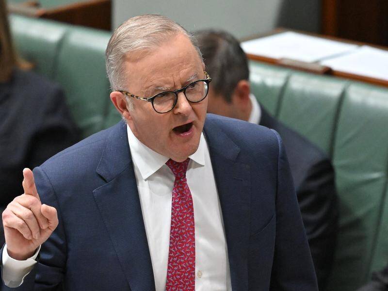 Anthony Albanese says a bill would close a loophole for people who don't have a right to be here. (Mick Tsikas/AAP PHOTOS)