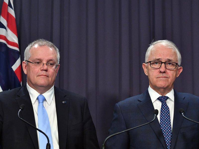 Malcolm Turnbull has accused PM Scott Morrison of misleading the country over the bushfire crisis.