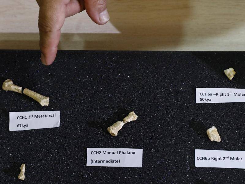 Fossils of a previously unknown human species were found in the Philippines.