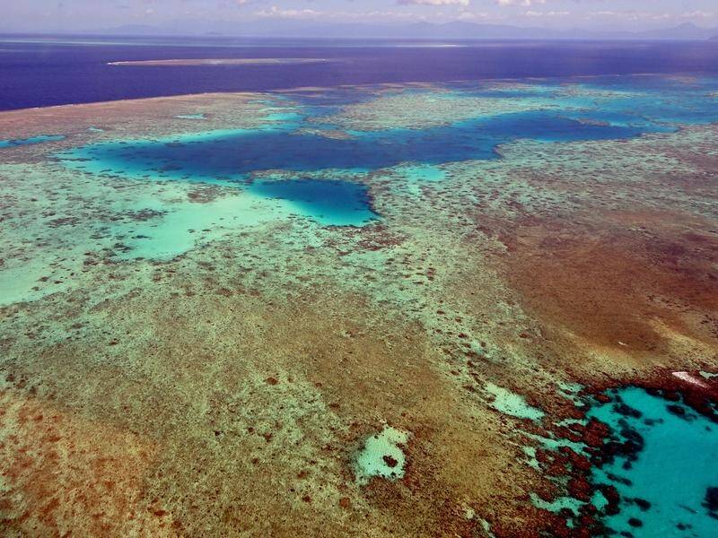 An additional $40 million will be tipped into Great Barrier Reef protection by the QLD government.