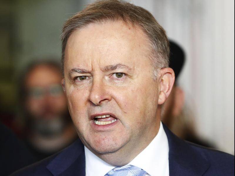 Anthony Albanese says Labor is opposed to elements of the government's income tax cuts.