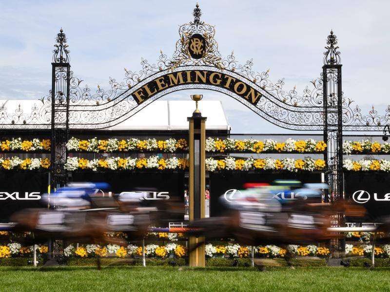 Spectators will be dotted around restaurants, pubs and homes for this year's Melbourne Cup.