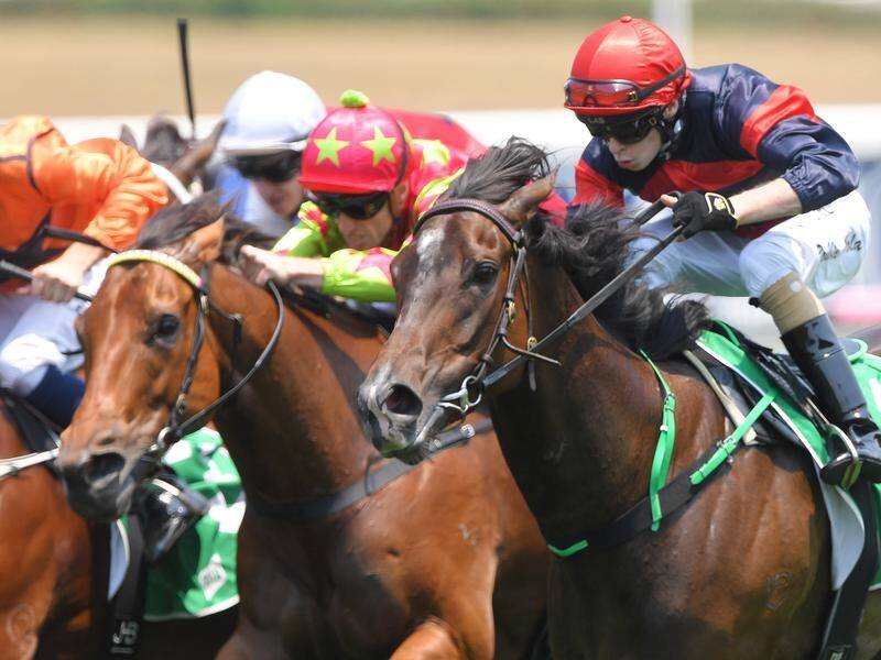 Moore Euros (right) has given trainer Richard Clarke a welcome boost with her win at Randwick.