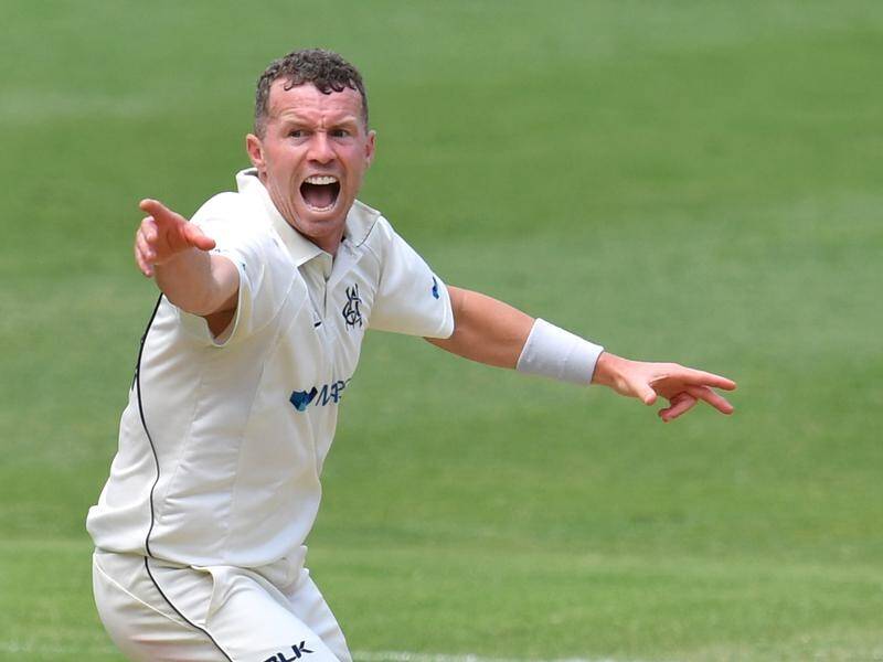 Former Australia Test quick bowler Peter Siddle has switched from Victoria to Tasmania.