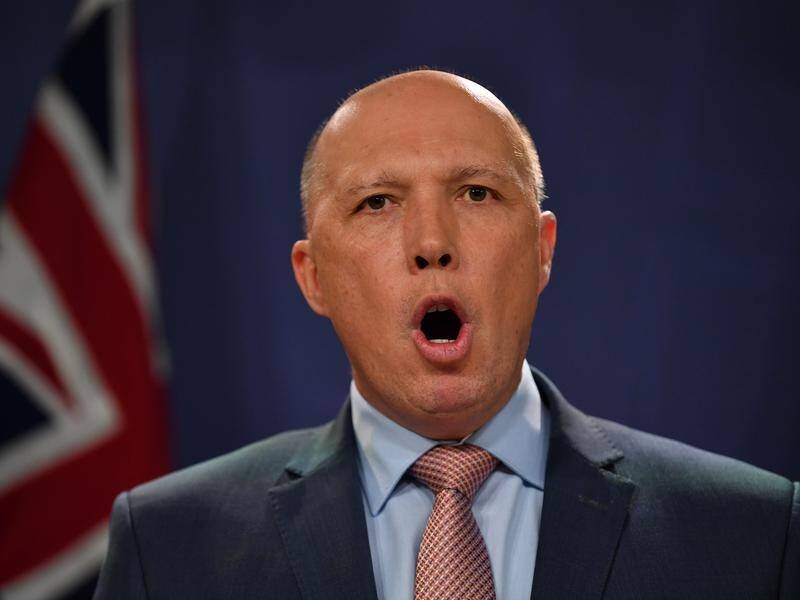 Peter Dutton has attacked the medical evacuation of an asylum seeker accused of child molestation.