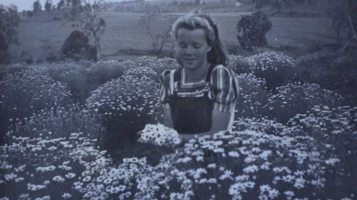 CARE: A young woman tending the daisies on the hills of Armidale during World War II.
