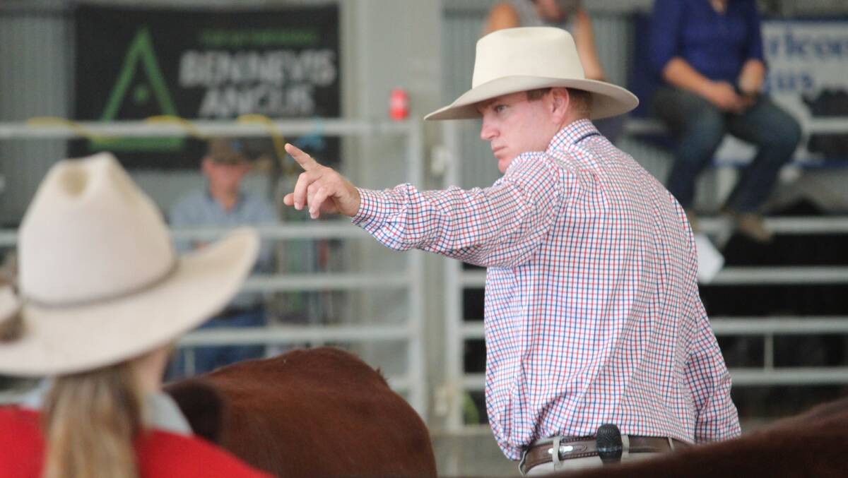 DECISIONS: James Dockrill in action. He was one of the cattle judges at this year's event.