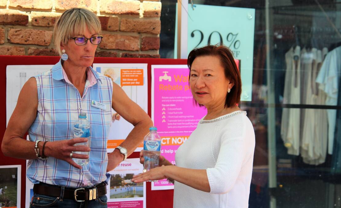 UP TO HERE: Deputy Mayor Libby Martin and CEO Susan Law recently discussing the depth of the water perhaps?
