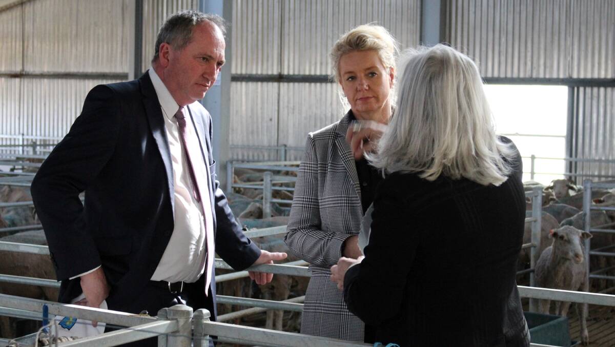 VISIT: Member for New England Barnaby Joyce and Minister for Agriculture Bridget McKenzie spend a little time in the sheds.