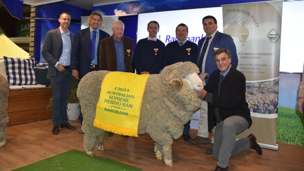 CHAMP: Chris Clonan from Alfoxton stud holds Brutus, the Australian Supreme Merino Ram with (l-r) Marcel van Doremaele and judges Tom Small, Colin Seis, Henry Armstrong, Paul Meyer, and Greg Alcock. Chris Clonan. 