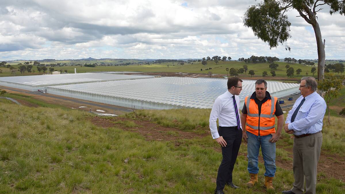 Member for Northern Tablelands Adam Marshall, left, Costa Group’s Project Engineering Manager Rodney Merritt and Guyra Shire Mayor Hans Hietbrink pictured at the expanded Tomato Farm.
