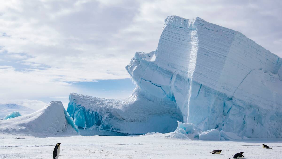 Howeward Bound: 80 women are visiting Antarctica to help build the profile of women in science.