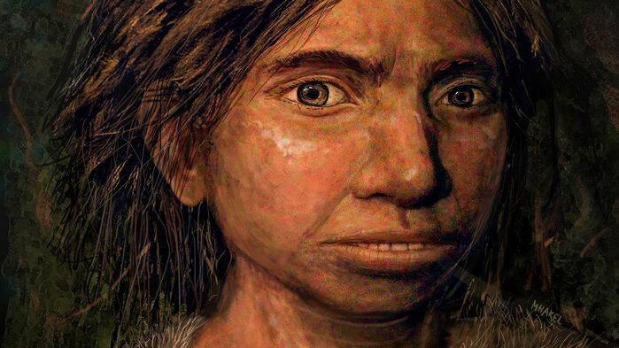 Neanderthal cousins: Artists reconstruction of a Denisovan girl based on the combination of skeletal and DNA evidence.
