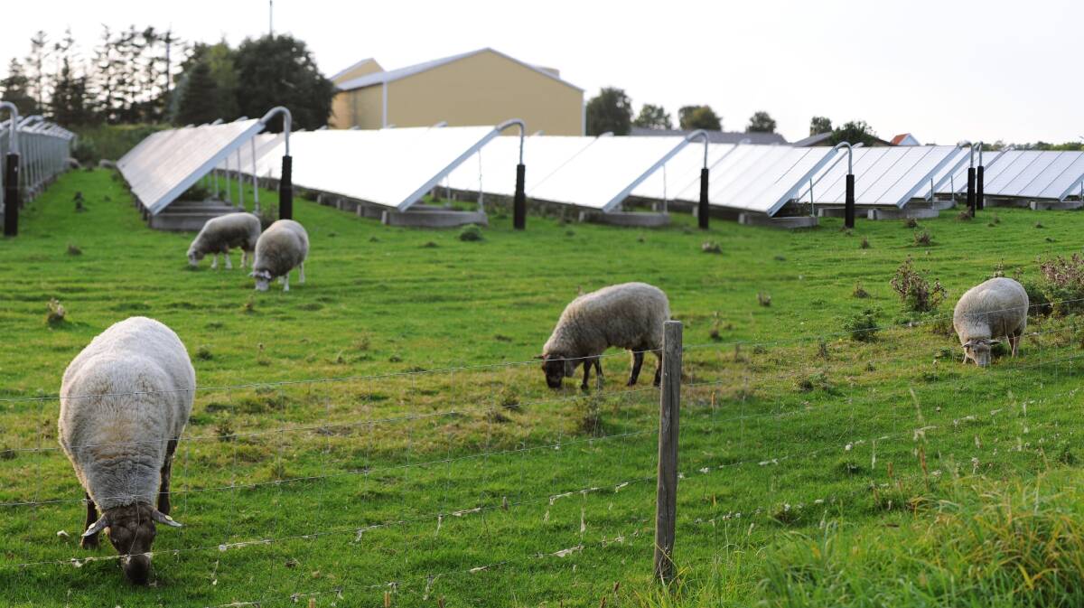 Powering on: The New England Solar Farm proposed for Uralla Shire will provide about 700MW of solar power.